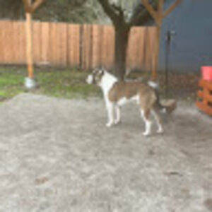 Meet your Posher, Cesar